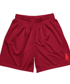 Men's Mesh Shorts